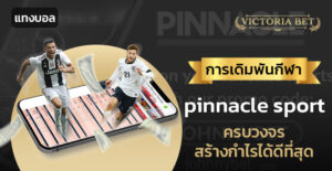 pinnacle sport