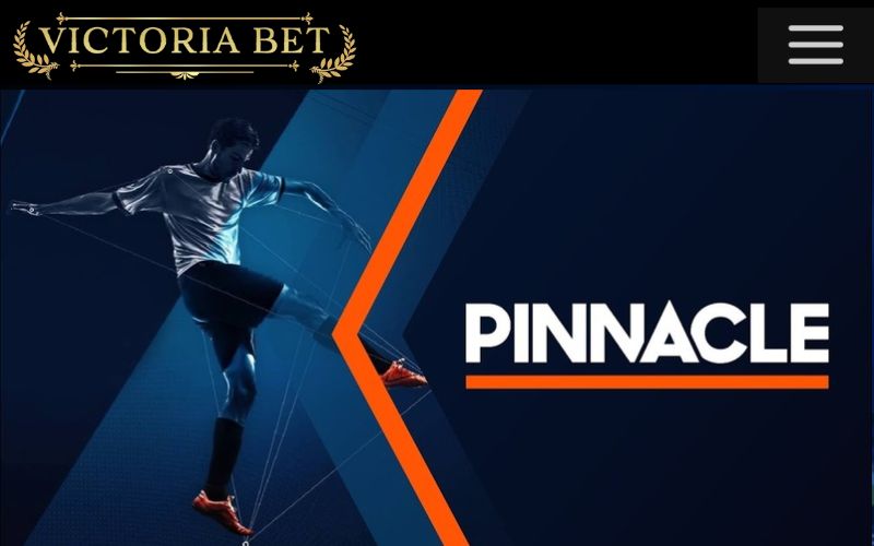 pinnacle sport